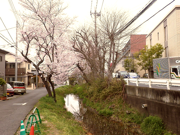 鹿手袋ってどういう意味 日本実業出版社