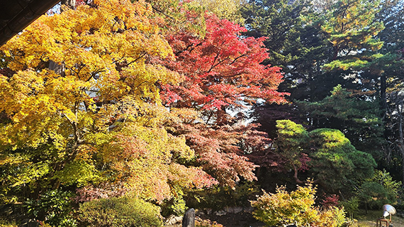 南昌荘の紅葉